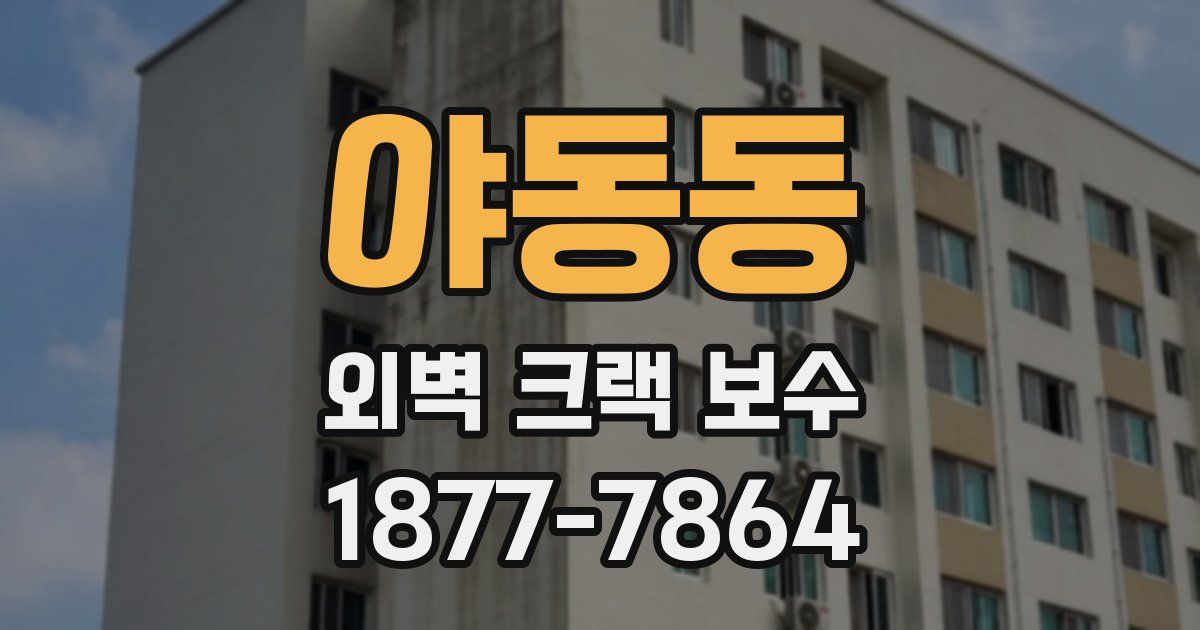야동동 외벽 크랙 보수