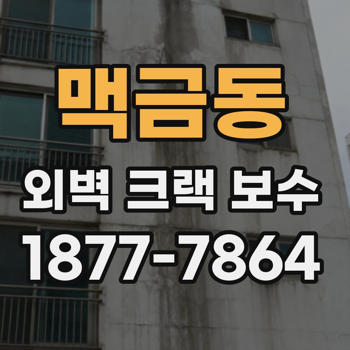 맥금동 외벽 크랙 보수