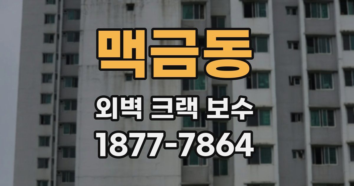 맥금동 외벽 크랙 보수