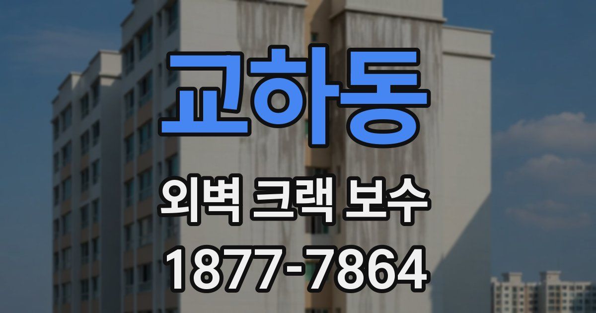 교하동 외벽 크랙 보수