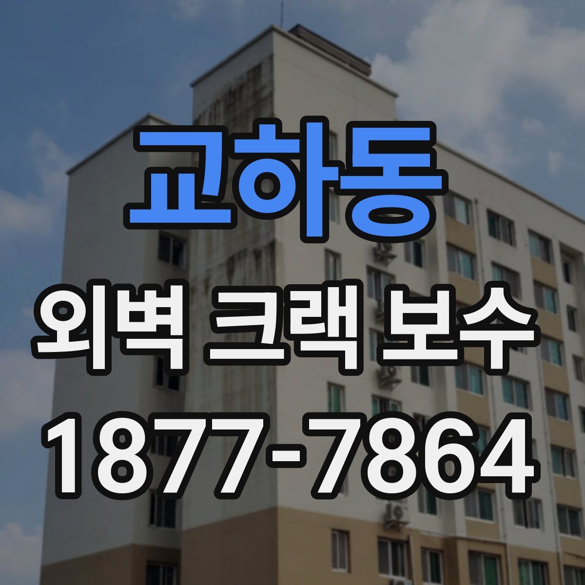 교하동 외벽 크랙 보수