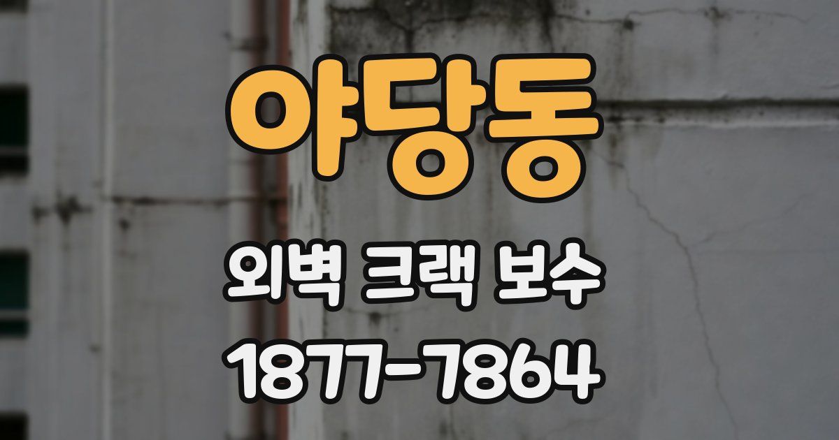 야당동 외벽 크랙 보수