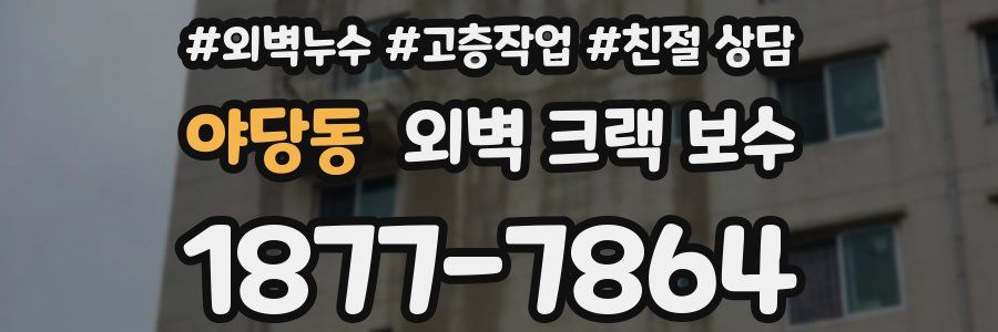야당동 외벽 크랙 보수