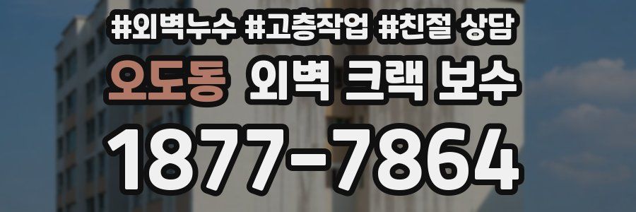 오도동 외벽 크랙 보수