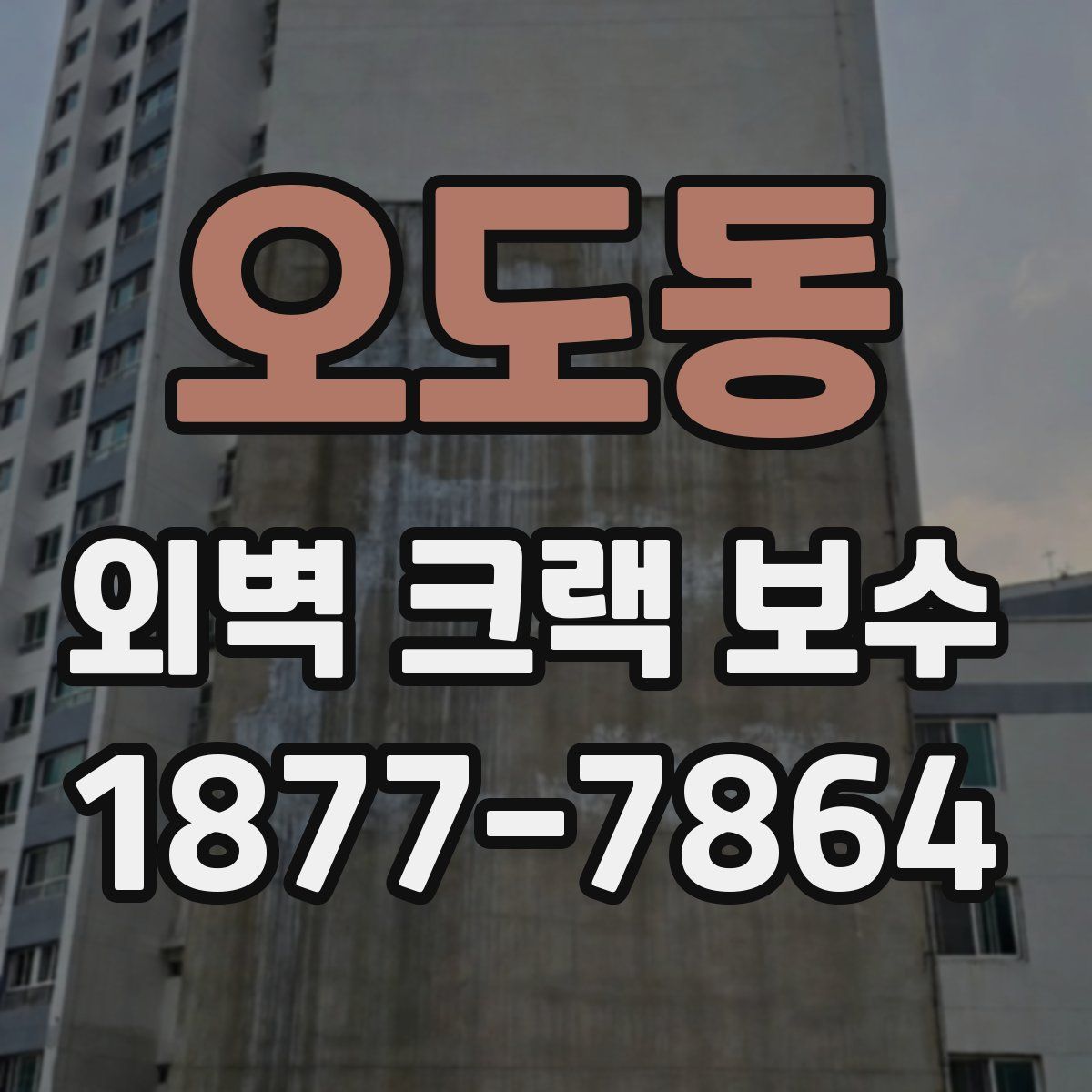 오도동 외벽 크랙 보수