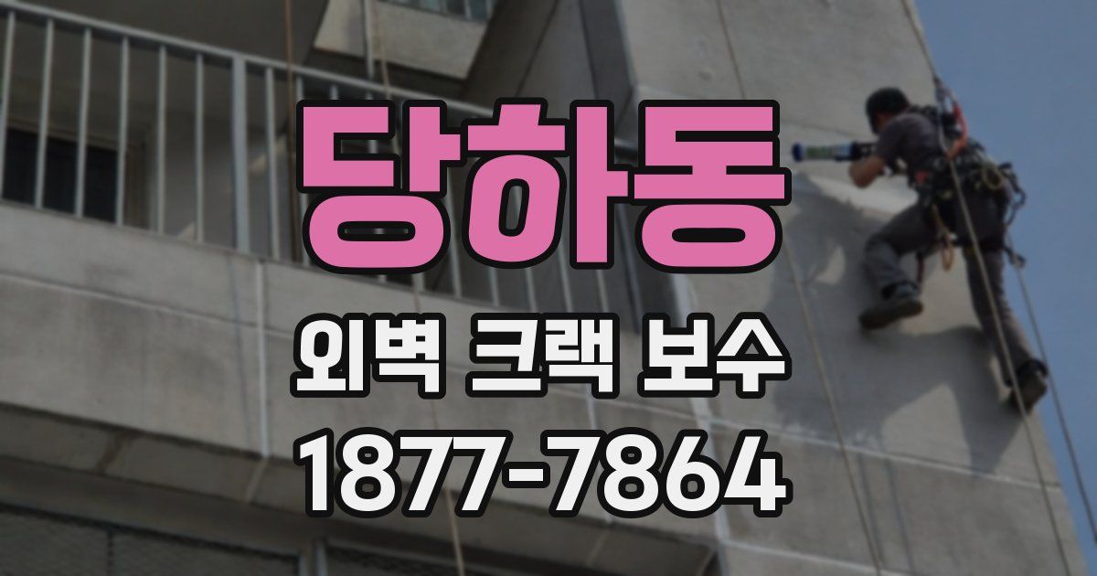 당하동 외벽 크랙 보수
