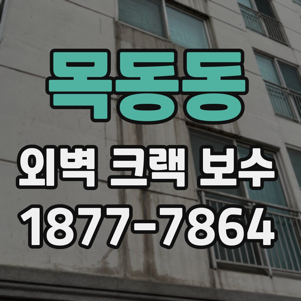 목동동 외벽 크랙 보수