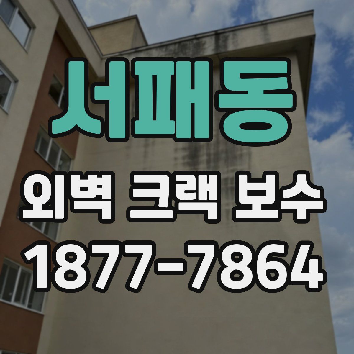 서패동 외벽 크랙 보수