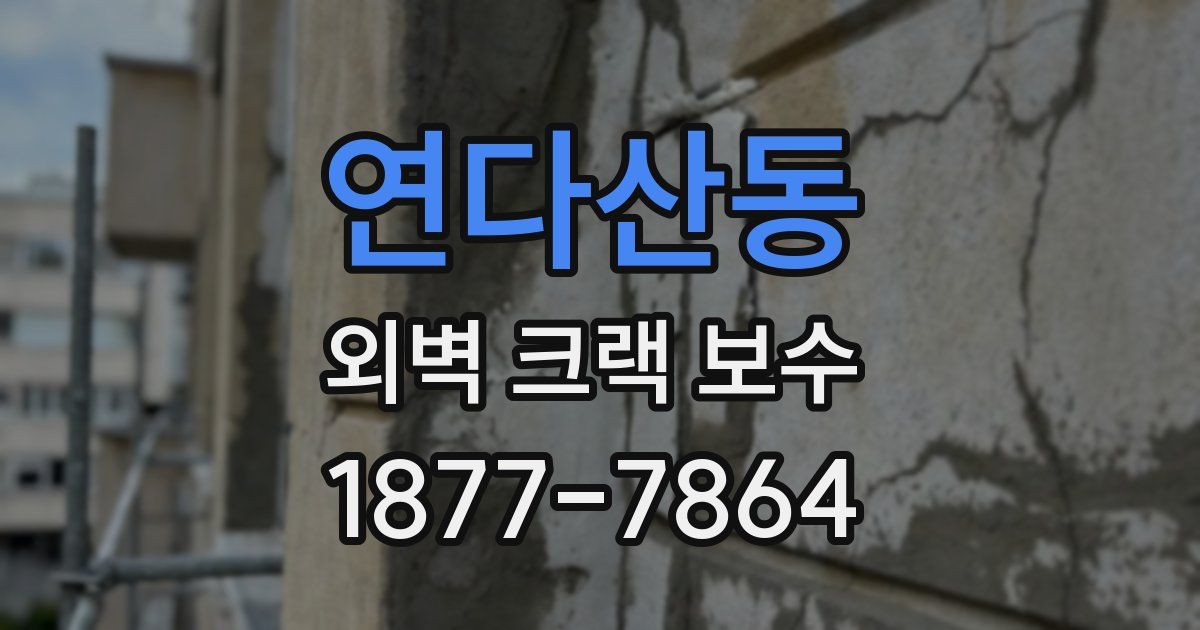 연다산동 외벽 크랙 보수