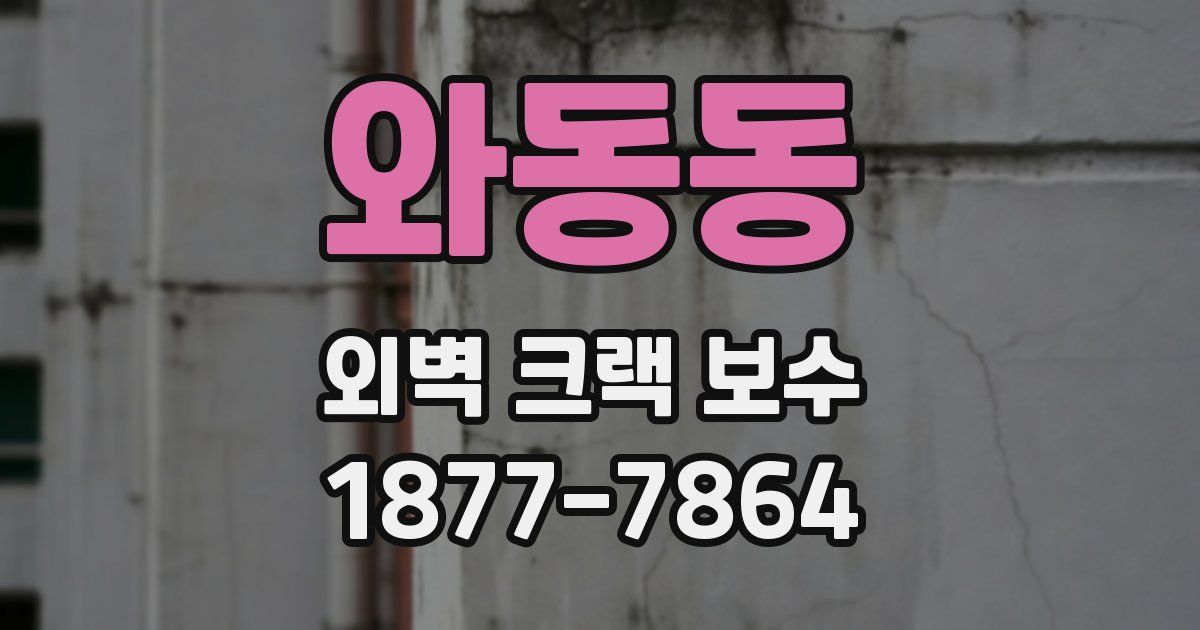 와동동 외벽 크랙 보수
