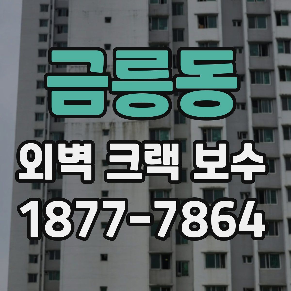 금릉동 외벽 크랙 보수 현장 확인에서 놓치기 쉬운 부분
