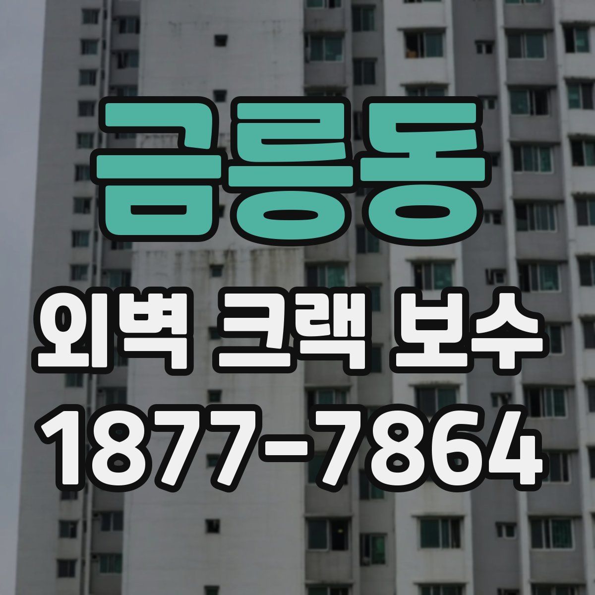 금릉동 외벽 크랙 보수