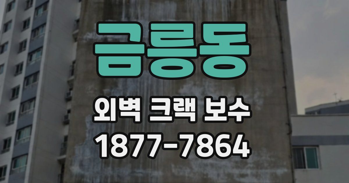 금릉동 외벽 크랙 보수