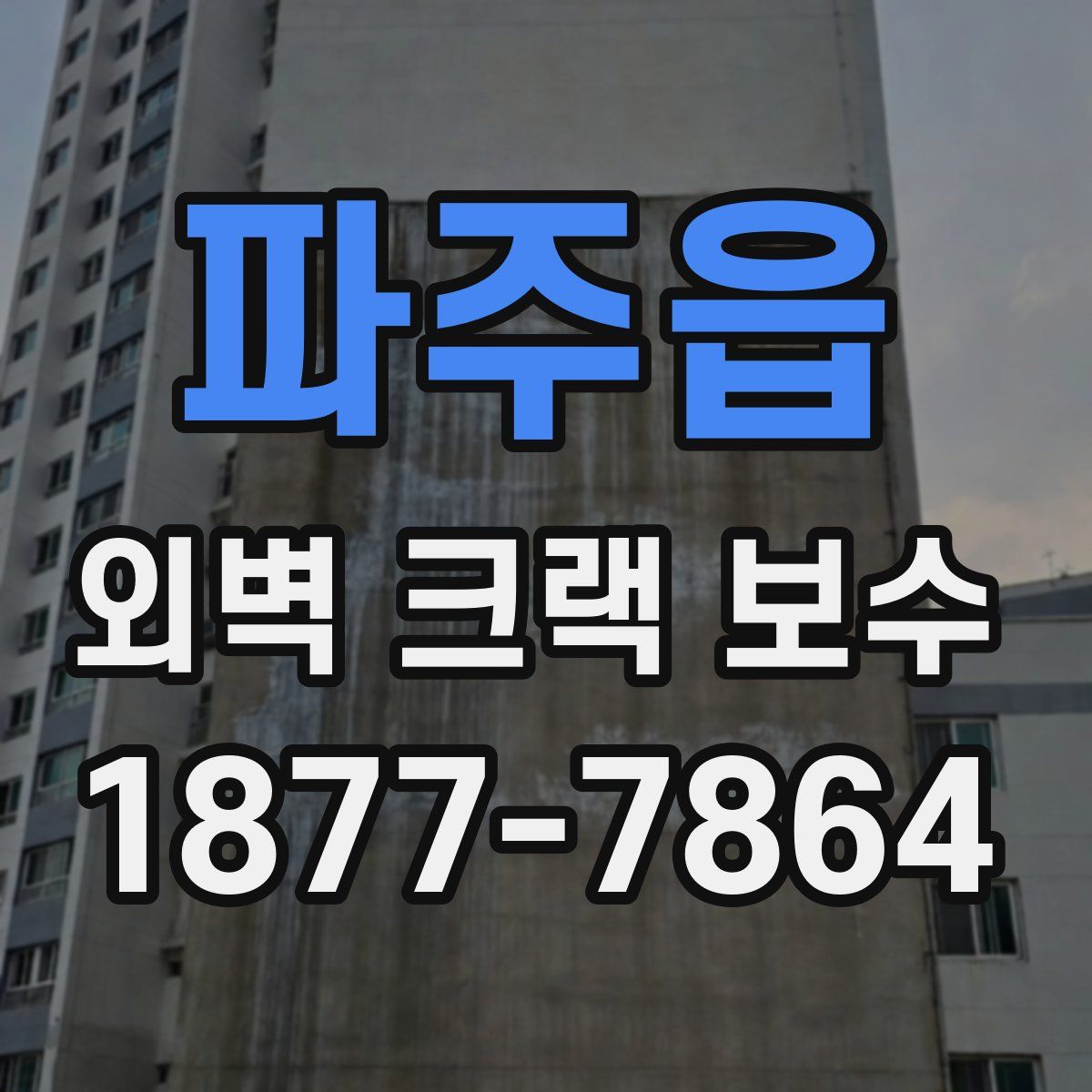 파주읍 외벽 크랙 보수
