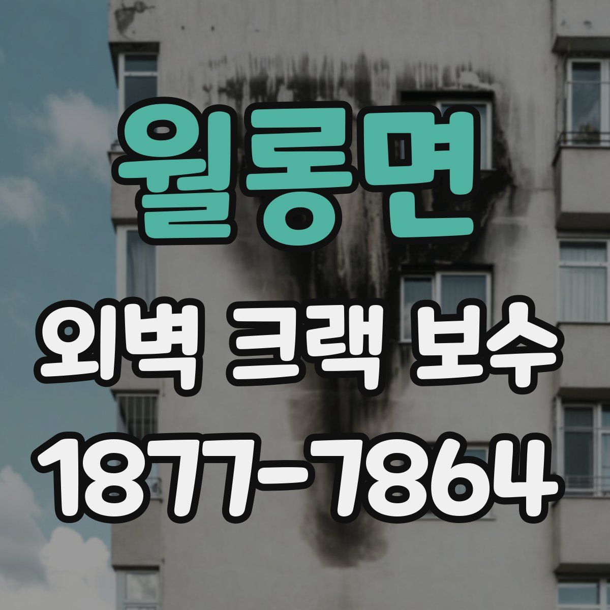 월롱면 외벽 크랙 보수
