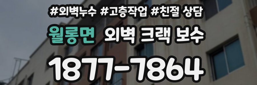 월롱면 외벽 크랙 보수