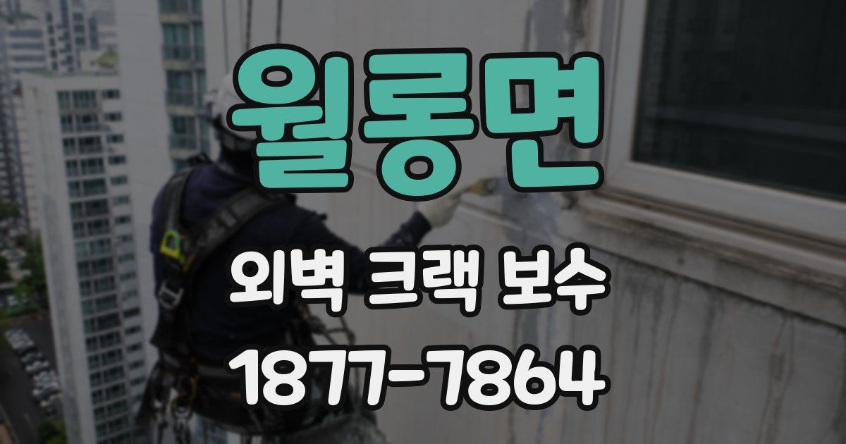 월롱면 외벽 크랙 보수