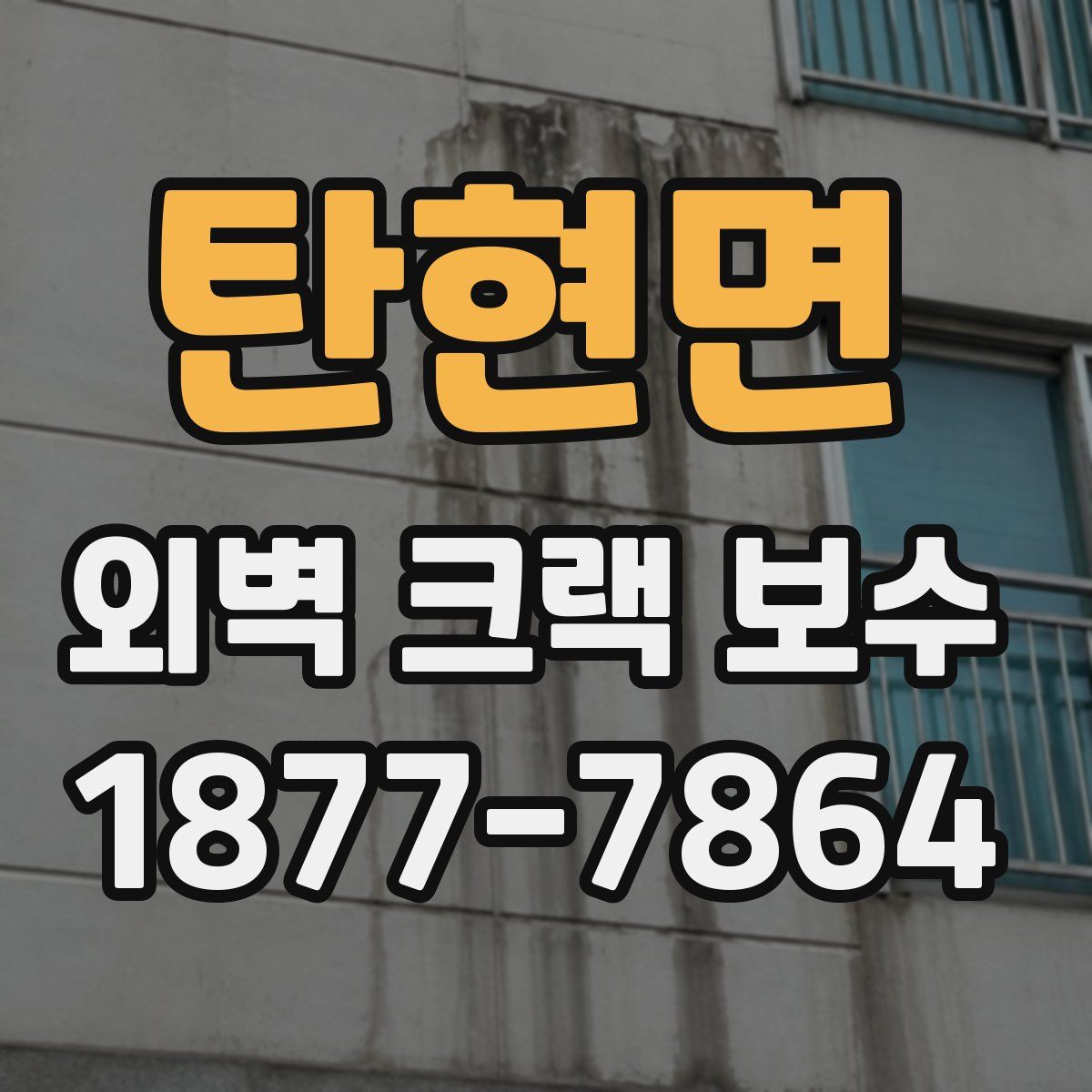 탄현면 외벽 크랙 보수