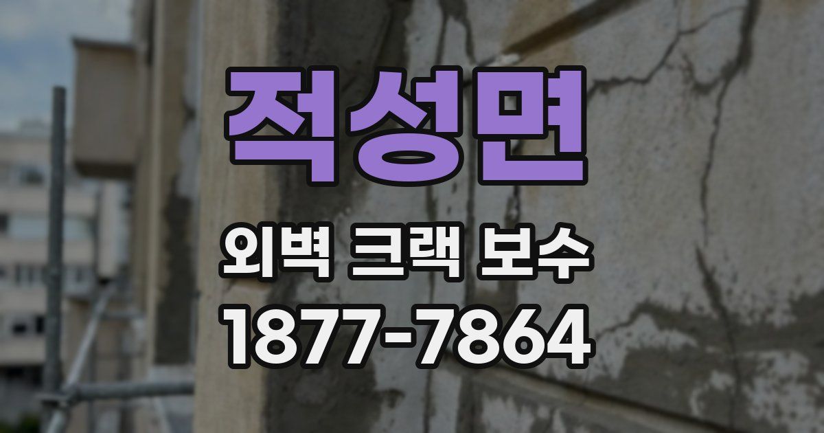 적성면 외벽 크랙 보수