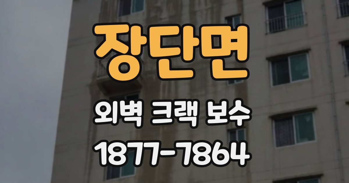 장단면 외벽 크랙 보수