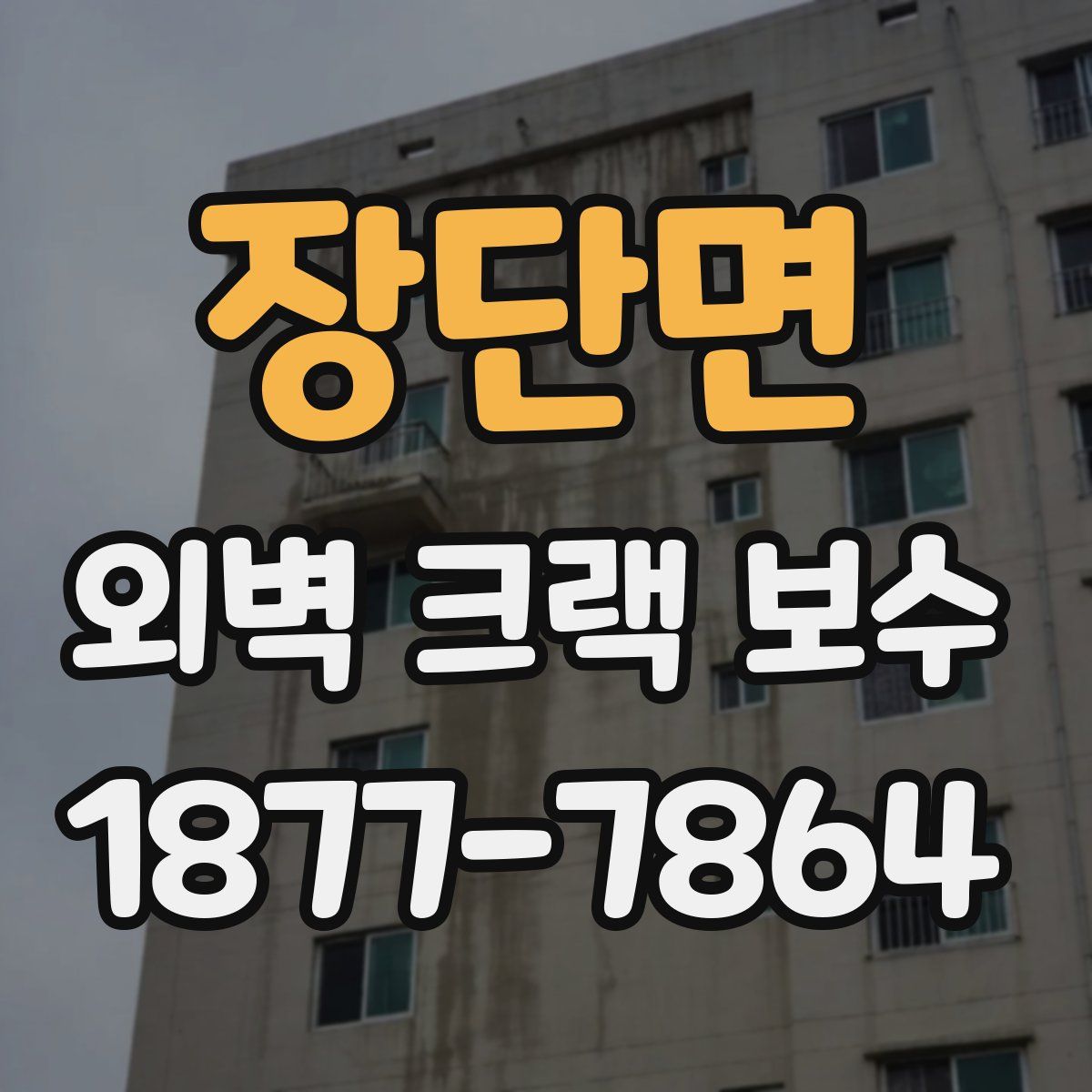 장단면 외벽 크랙 보수