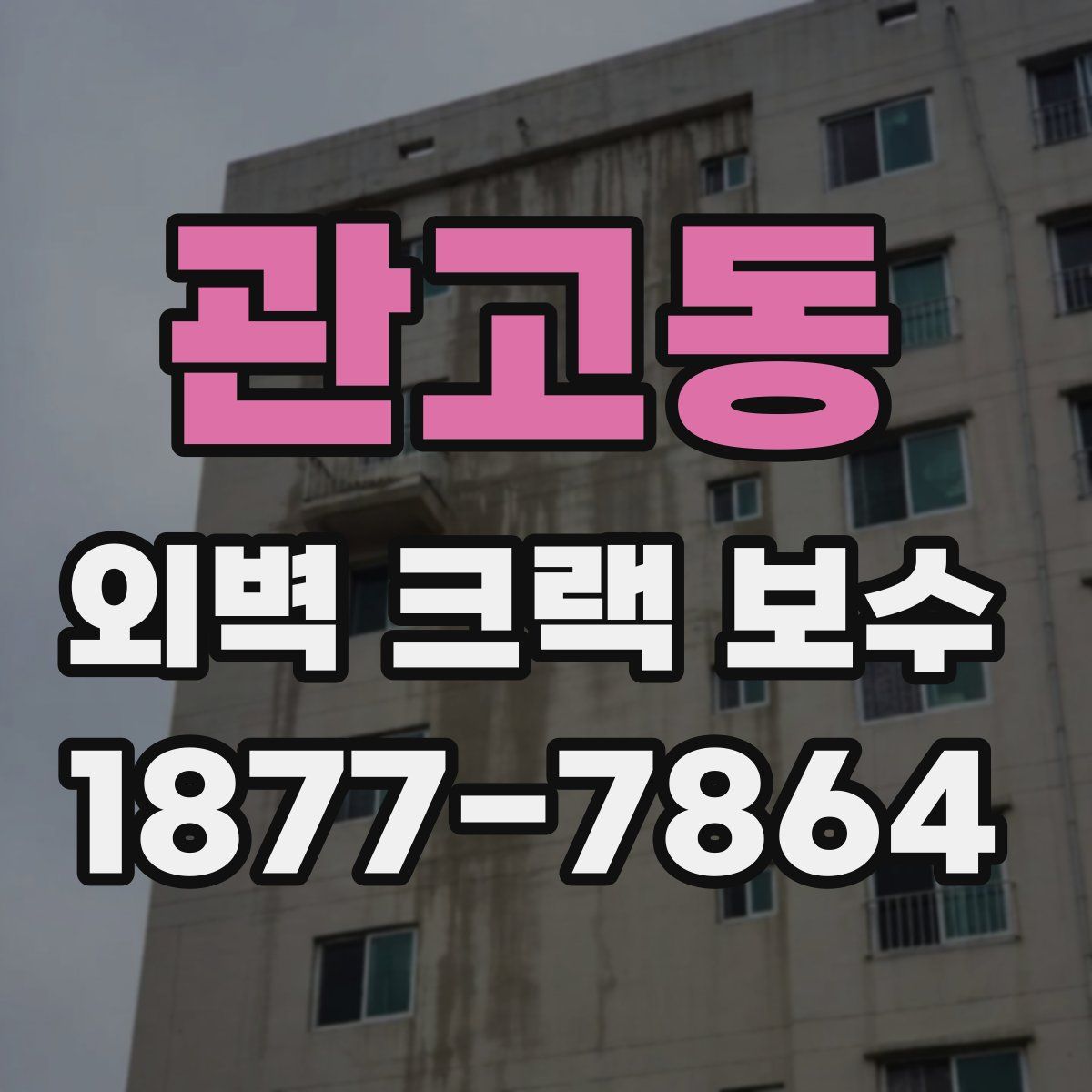 관고동 외벽 크랙 보수