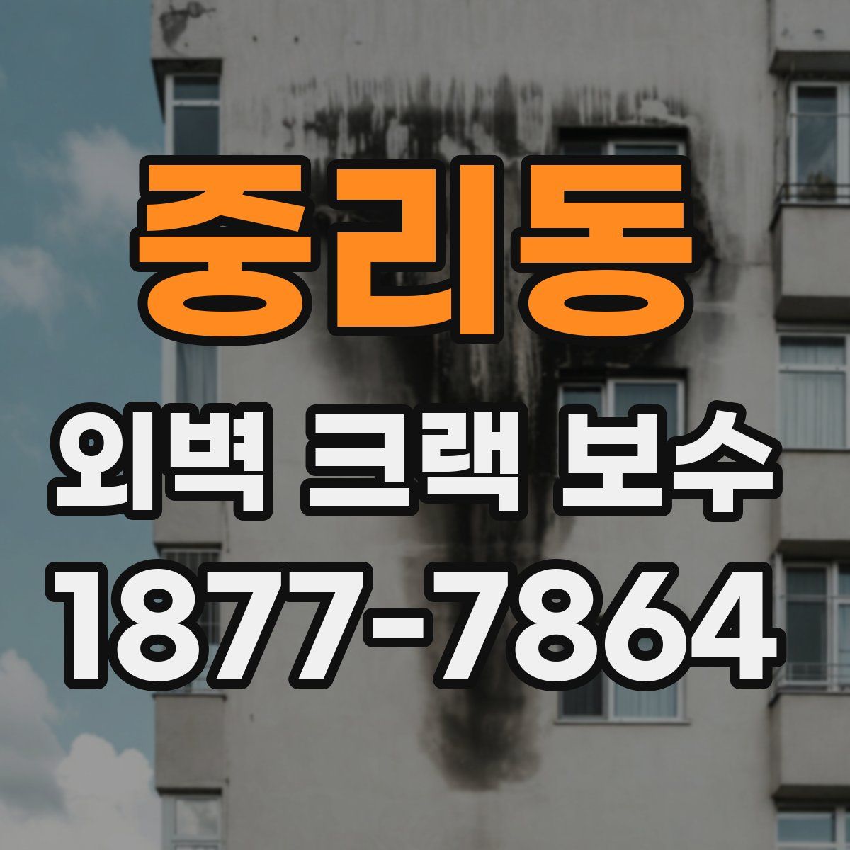 중리동 외벽 크랙 보수