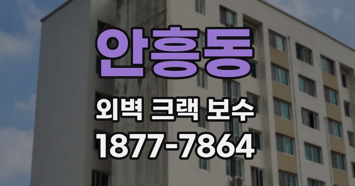 안흥동 외벽 크랙 보수