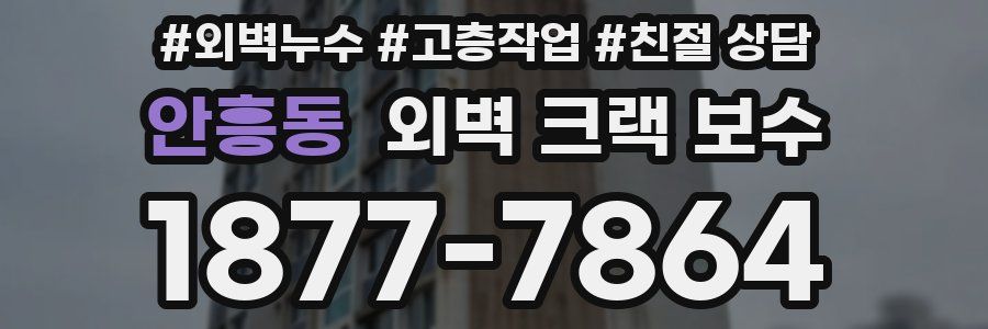 안흥동 외벽 크랙 보수