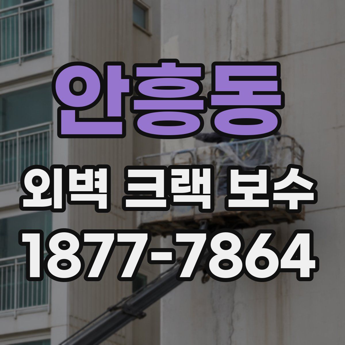 안흥동 외벽 크랙 보수
