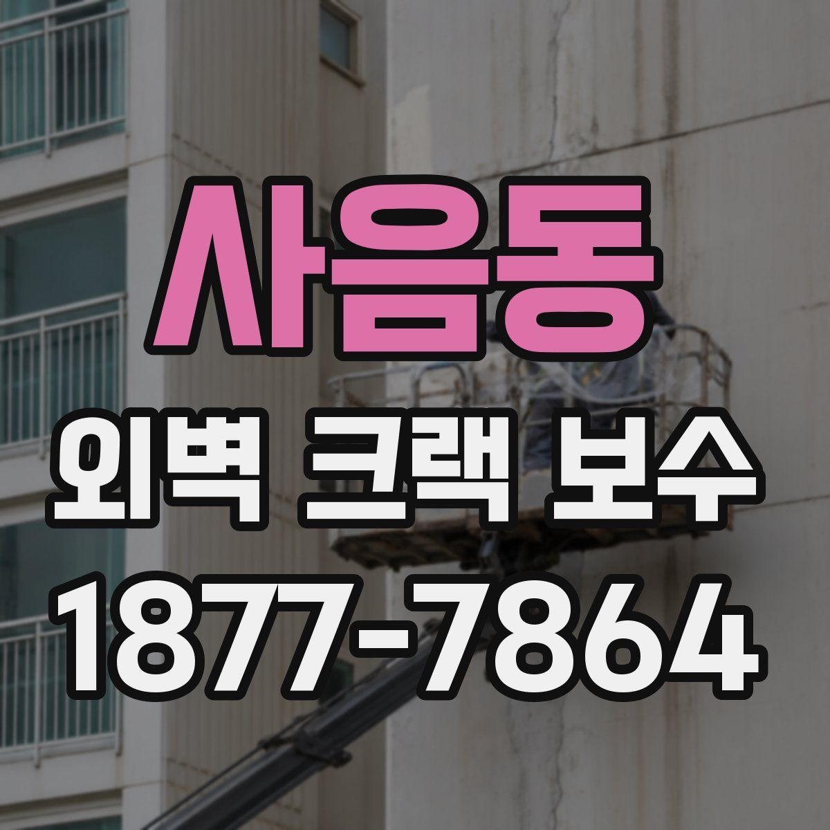 사음동 외벽 크랙 보수