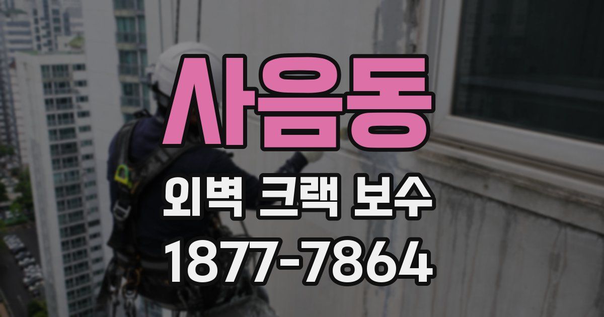 사음동 외벽 크랙 보수