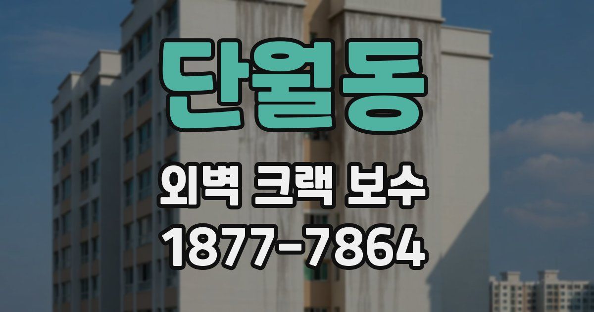 단월동 외벽 크랙 보수