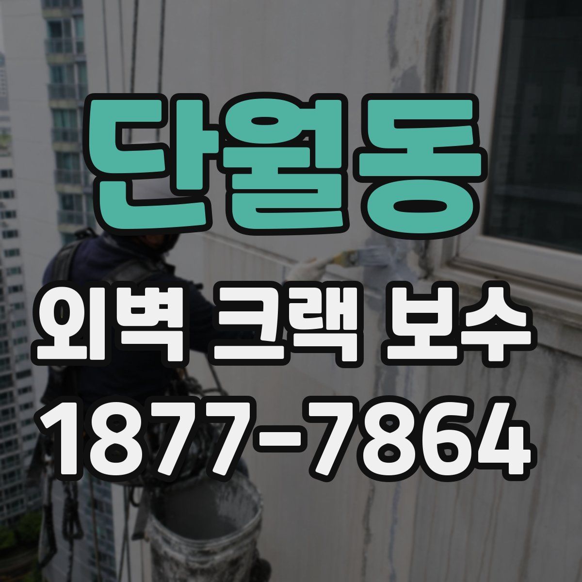 단월동 외벽 크랙 보수