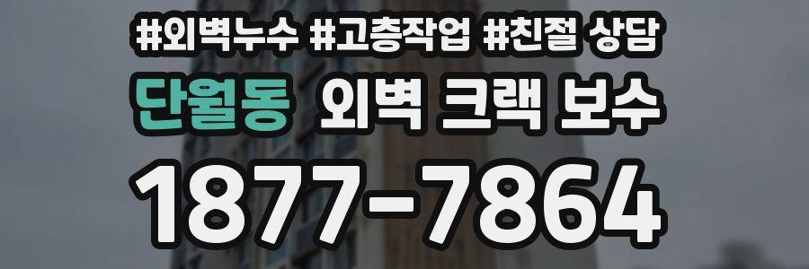 단월동 외벽 크랙 보수