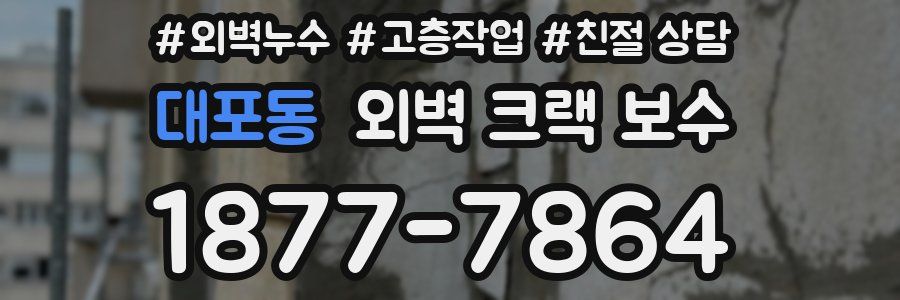 대포동 외벽 크랙 보수