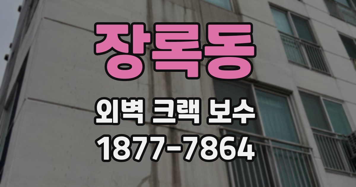 장록동 외벽 크랙 보수