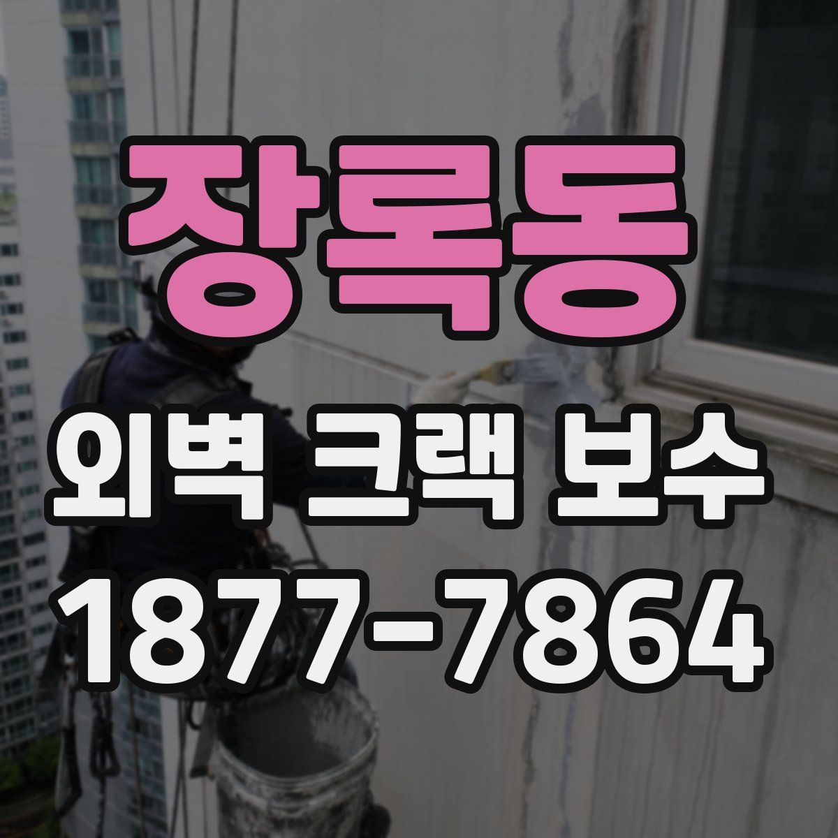 장록동 외벽 크랙 보수