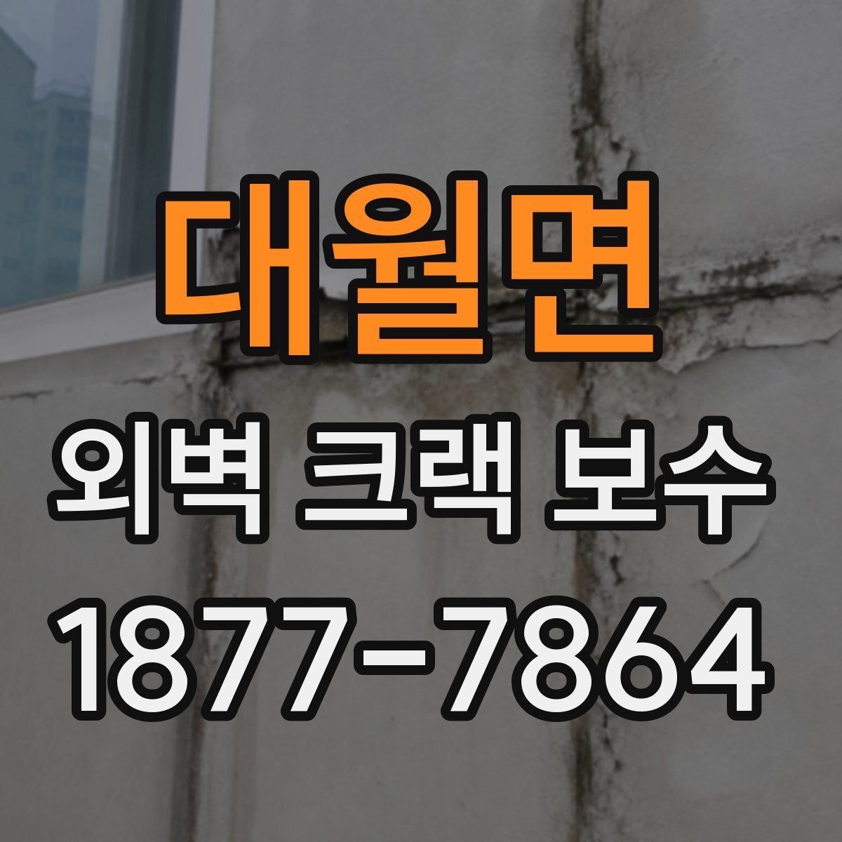 대월면 외벽 크랙 보수