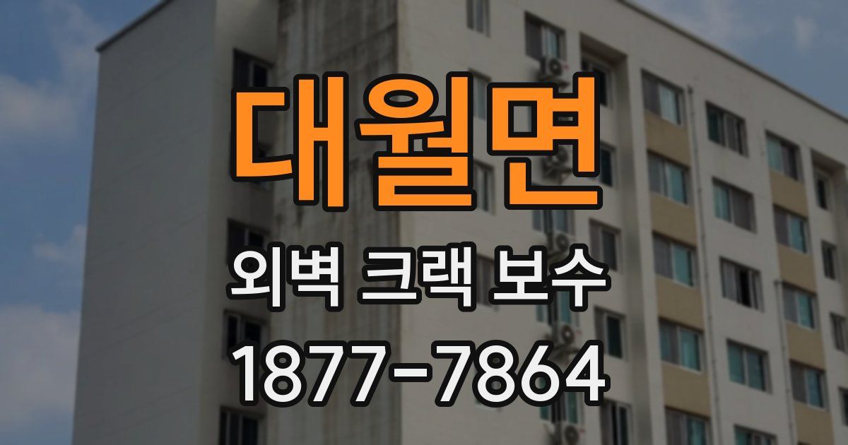 대월면 외벽 크랙 보수