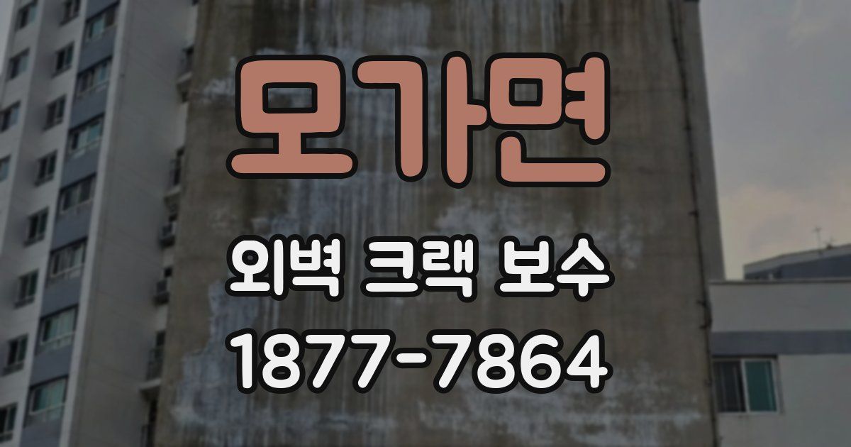 모가면 외벽 크랙 보수