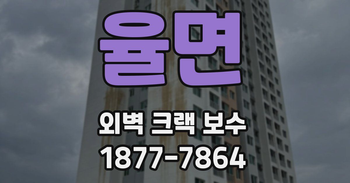 율면 외벽 크랙 보수