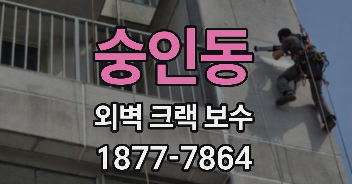 숭인동 외벽 크랙 보수