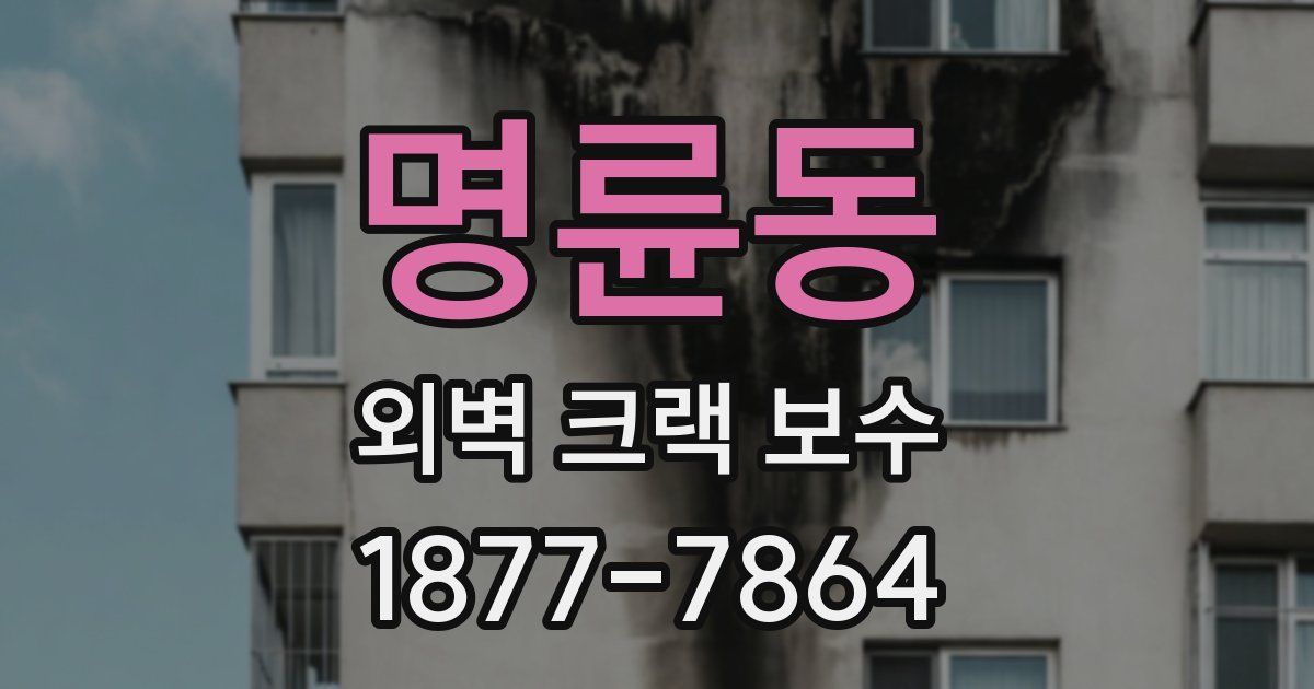 명륜동 외벽 크랙 보수
