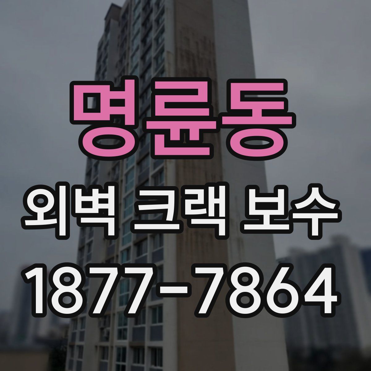 명륜동 외벽 크랙 보수