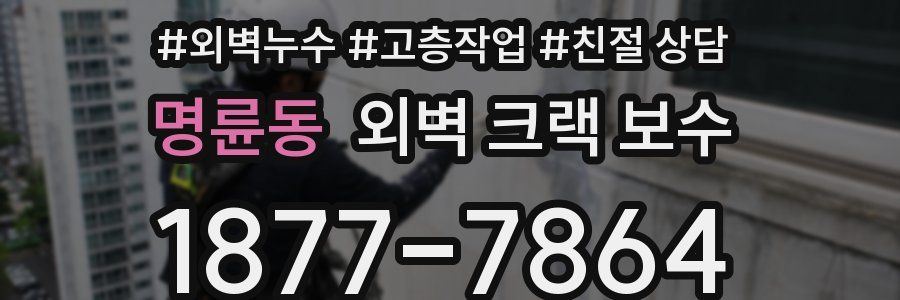 명륜동 외벽 크랙 보수