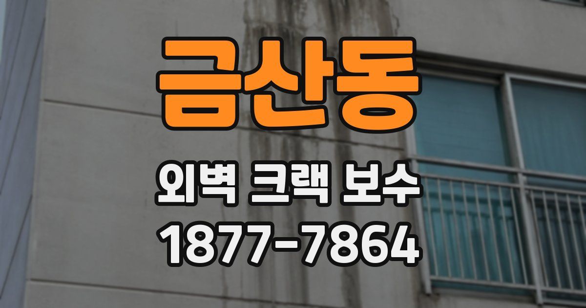 금산동 외벽 크랙 보수