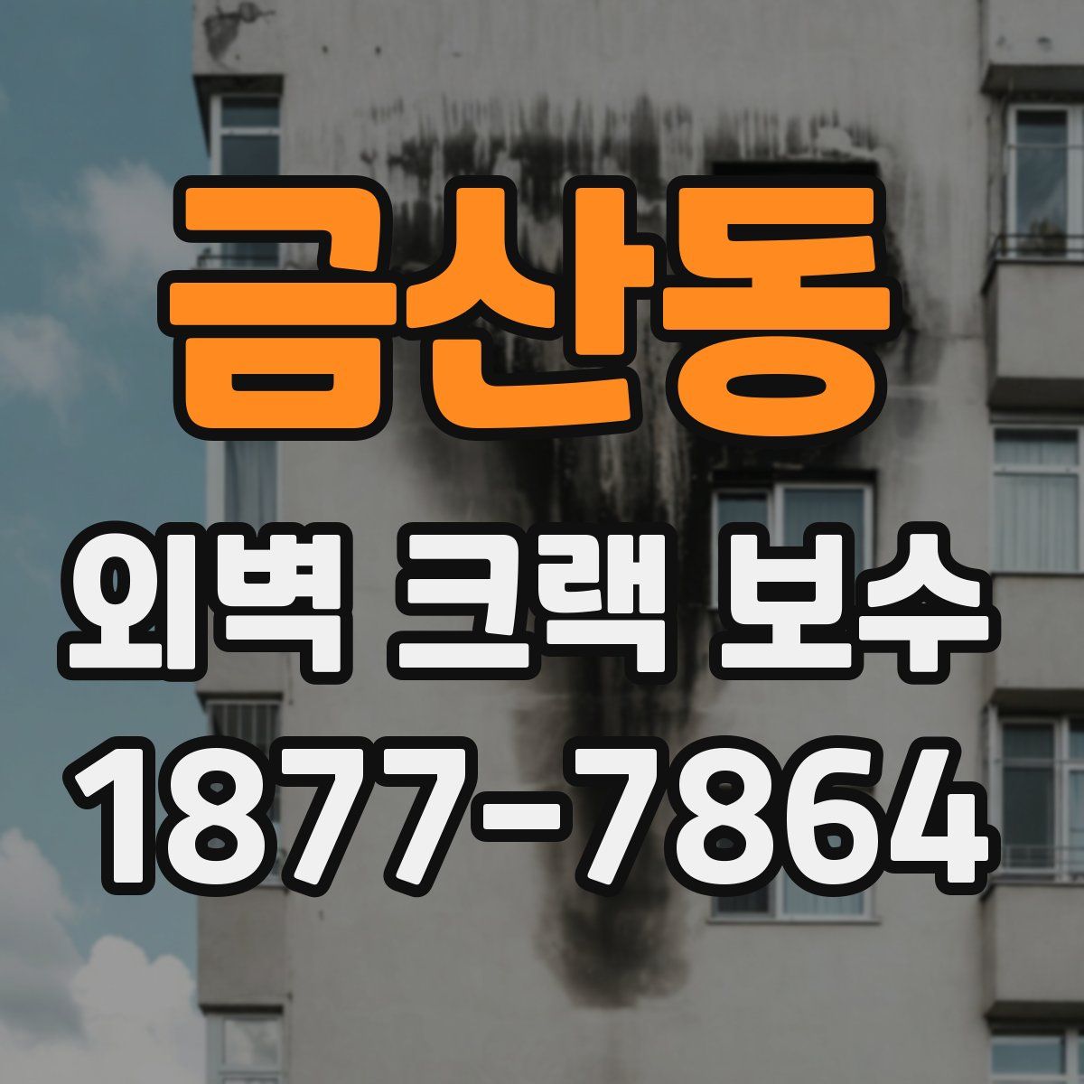 금산동 외벽 크랙 보수