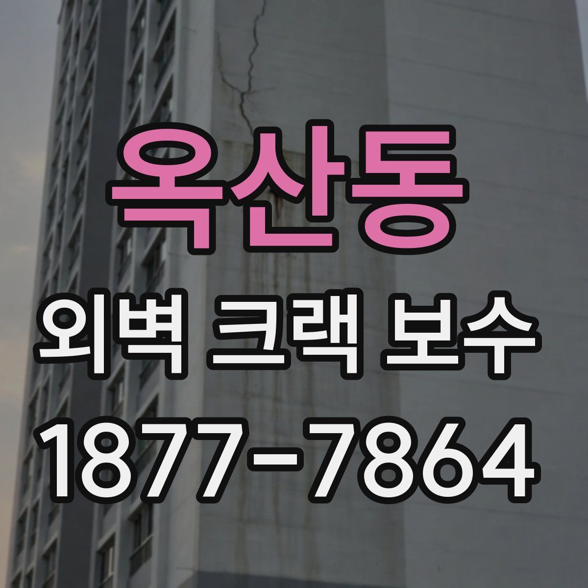 옥산동 외벽 크랙 보수