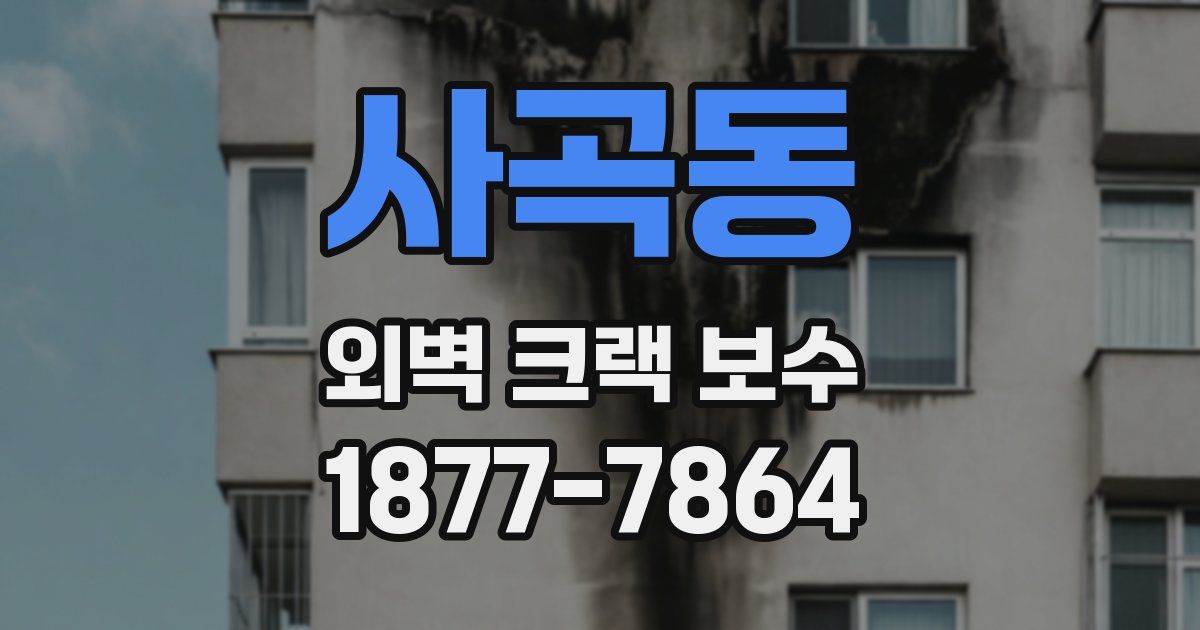 사곡동 외벽 크랙 보수